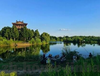 500新浪足球比分直播-500新浪足球比分直播，足球盛宴的实时窗口