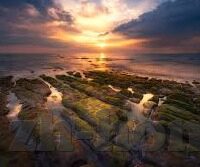 乐鱼体育直播-乐鱼体育直播，实时沉浸，激情无限
