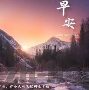 球探比分网足球即時比分-深度解析，球探比分网足球即时比分——球迷的战术罗盘与数据宝库