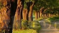 足球比分已完场-当终场哨响，足球比分背后的热血、遗憾与人生启示